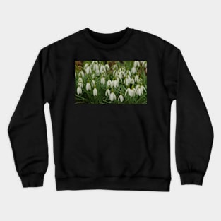 snow drops flowers Crewneck Sweatshirt